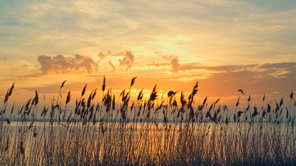 The Tide of Unfinished Conversations